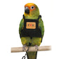 📢📢30% OFF !! ⏰Breathable Pet Bird Harness Vest☁️