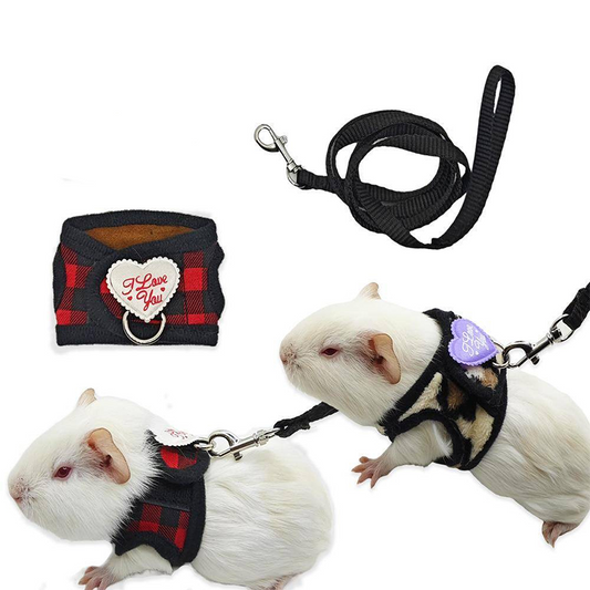Small Pet Harness and Leash Set