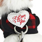 Small Pet Harness and Leash Set