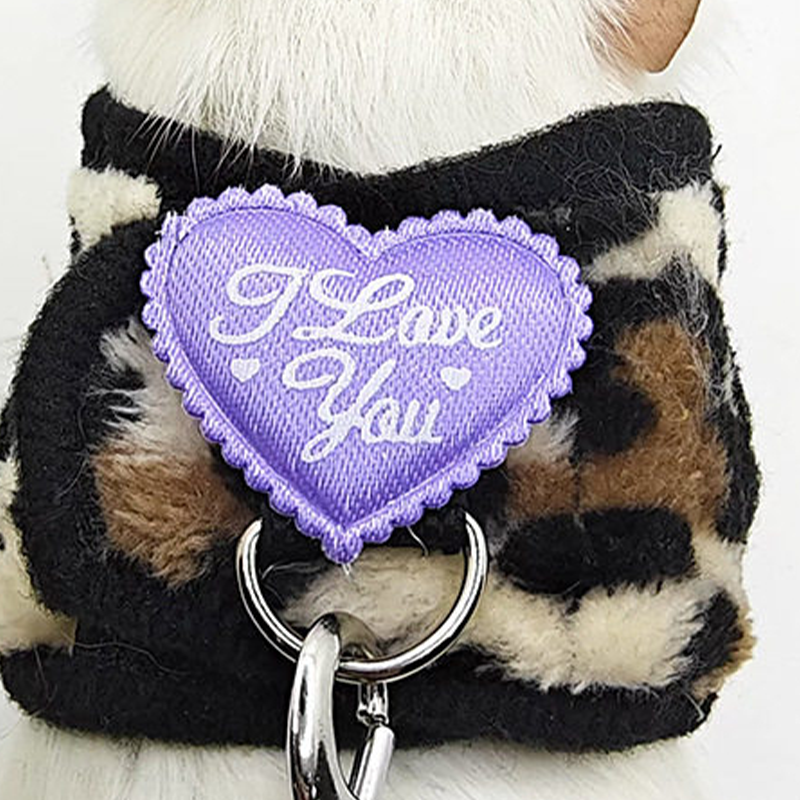 Small Pet Harness and Leash Set