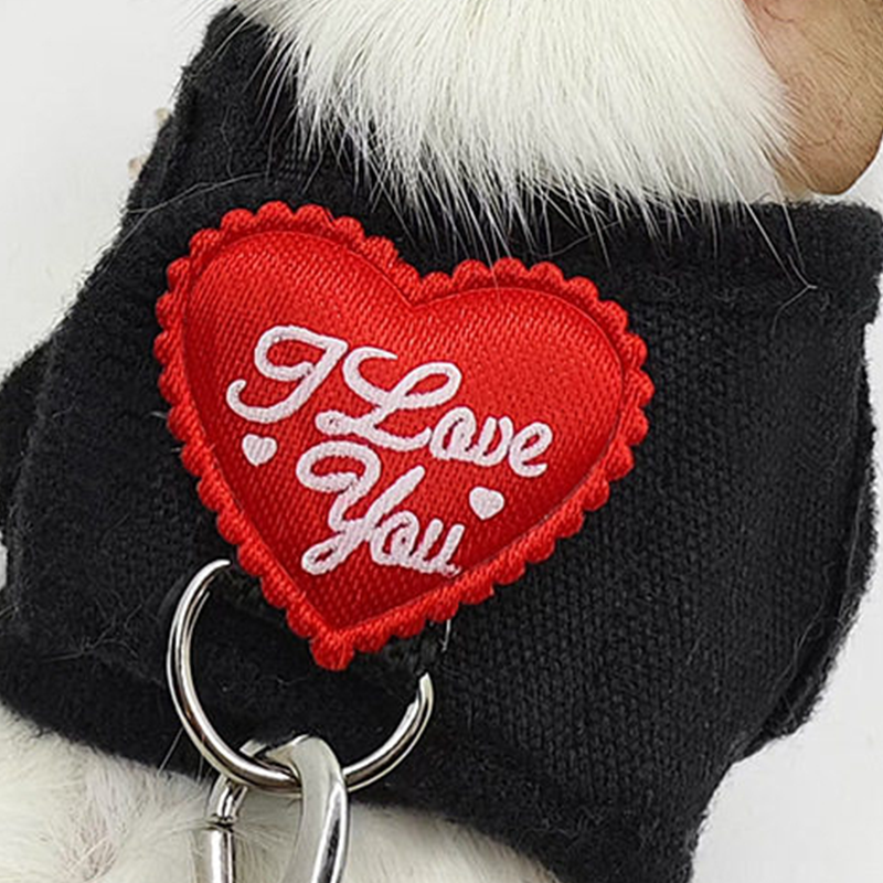 Small Pet Harness and Leash Set