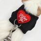 Small Pet Harness and Leash Set