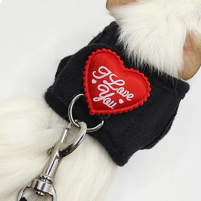 Small Pet Harness and Leash Set