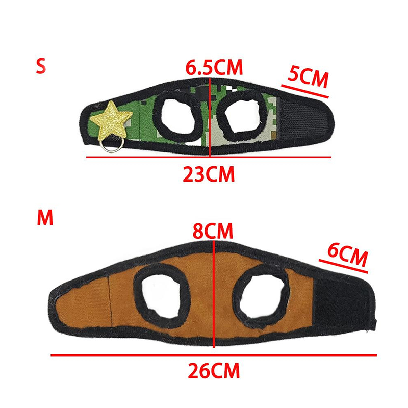 Small Pet Harness and Leash Set