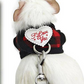 Small Pet Harness and Leash Set