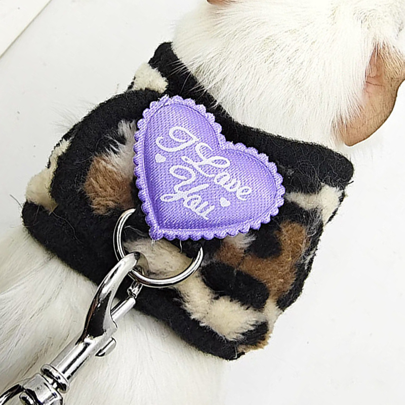 Small Pet Harness and Leash Set