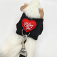 Small Pet Harness and Leash Set