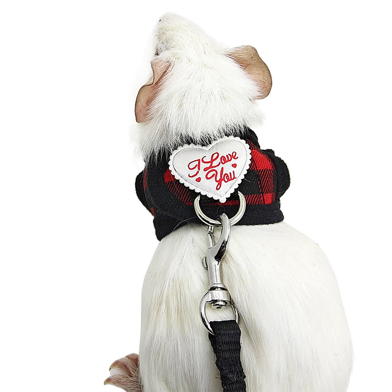Small Pet Harness and Leash Set