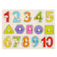 Montessori Wooden Peg Puzzle for Toddlers