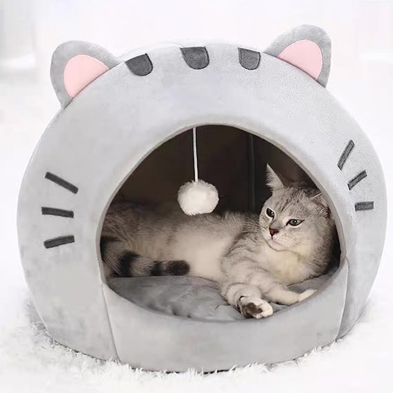 🐱2-In-1 Pet Tent & Pet Bed