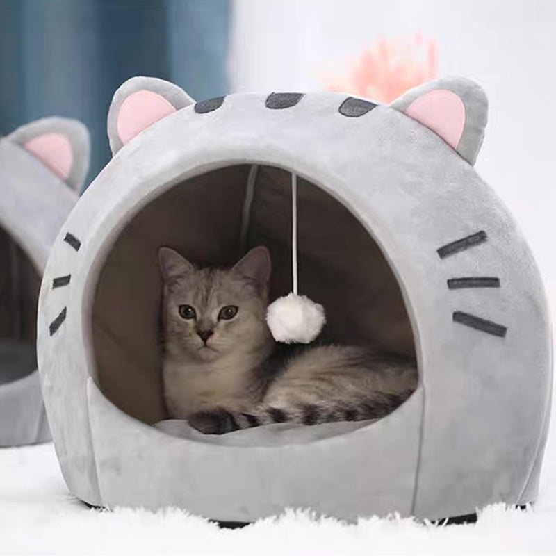 🐱2-In-1 Pet Tent & Pet Bed