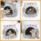 🐱2-In-1 Pet Tent & Pet Bed