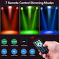 Sound Reactive PAR Light