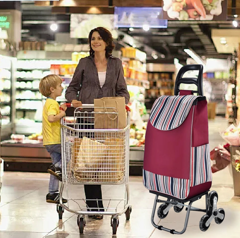 Large Capacity Portable Folding Stair Climbable Cart