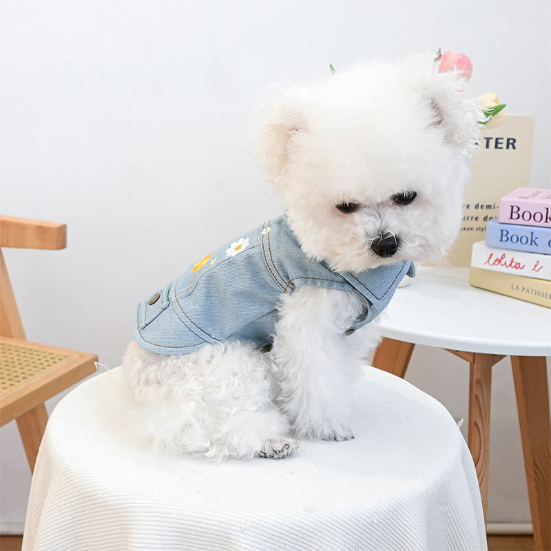 👑 Cute Princess Denim Dog Jacket 🐶