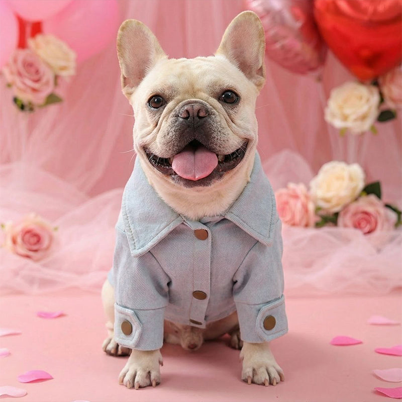 👑 Cute Princess Denim Dog Jacket 🐶