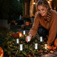 🥧Solar Powered Pathway Stake Light