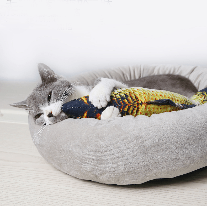 😍Le favori de l'animal : les jouets électriques en forme de poisson🐱🐶