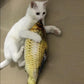 😍Le favori de l'animal : les jouets électriques en forme de poisson🐱🐶