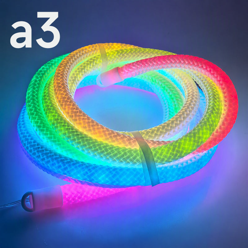 Dragon Scale Woven LED Neon Rope Light
