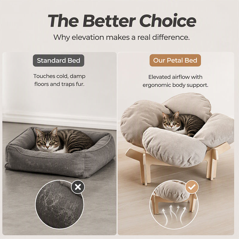 Elevated Petal Shaped Wooden Pet Bed with Cushion