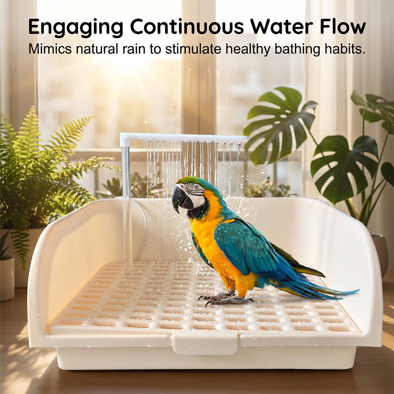 🐦 LIMITED-TIME 50% OFF! 🚿 Electric Bird Bath with Rain Shower & Perch – Safe, Quiet Pump for Happy Birds 🛀