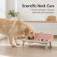 Elevated Detachable Pet Double Bowls