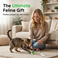 Smart Interactive Cat Toy Ball with Tail