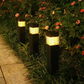 🌸 Buy 2 Get 1 FREE | Solar Outdoor Pathway Lights