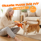 🍊Hide & Seek Orange Plush Dog Toy🐶