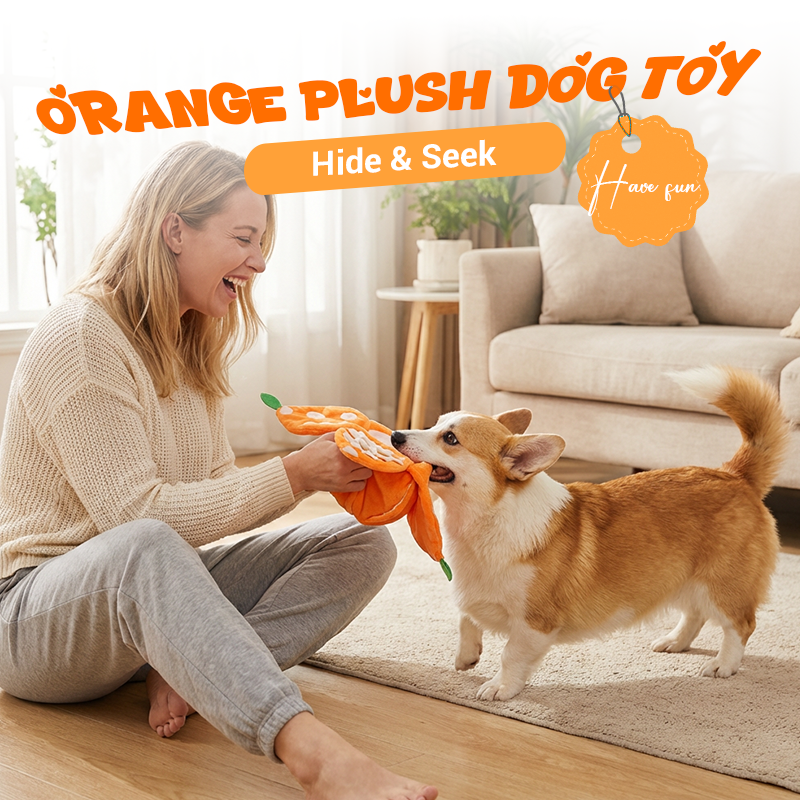 🍊Hide & Seek Orange Plush Dog Toy🐶