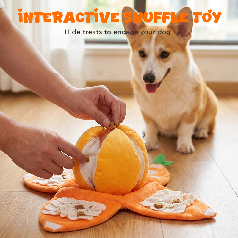 🍊Hide & Seek Orange Plush Dog Toy🐶