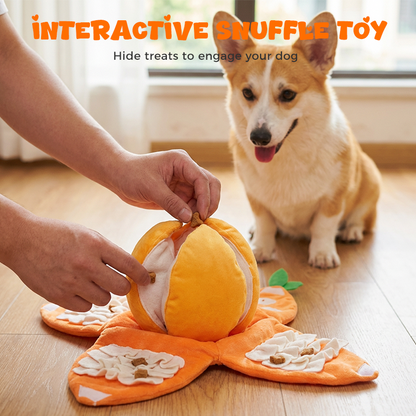 🍊Hide & Seek Orange Plush Dog Toy🐶