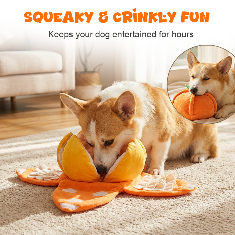 🍊Hide & Seek Orange Plush Dog Toy🐶