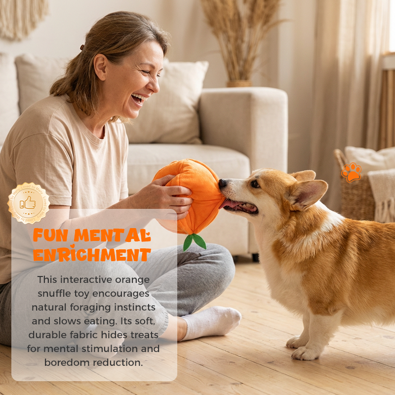 🍊Hide & Seek Orange Plush Dog Toy🐶