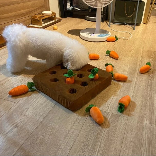 🥕Carrot Plush Toy for Dogs – Interactive Pull-Out Toy | Carrot Patch Mat