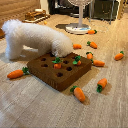 🥕Carrot Plush Toy for Dogs – Interactive Pull-Out Toy | Carrot Patch Mat