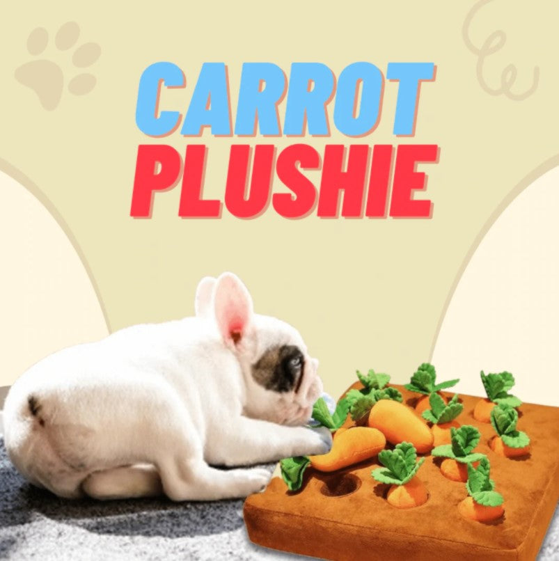 🥕Carrot Plush Toy for Dogs – Interactive Pull-Out Toy | Carrot Patch Mat